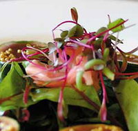 Courgette - Accommodation Gladstone