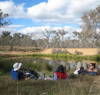 Canberra Nature Park - Accommodation Gladstone