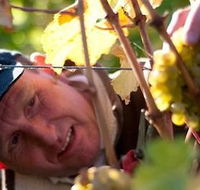 Puddleduck Vineyard - Accommodation Gladstone