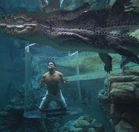 Crocosaurus Cove - Accommodation Gladstone