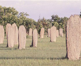 Magnetic Termite Mounds - Accommodation Gladstone 0