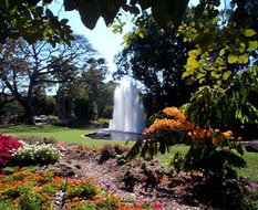 Book Darwin NT Attractions Accommodation Gladstone Accommodation Gladstone