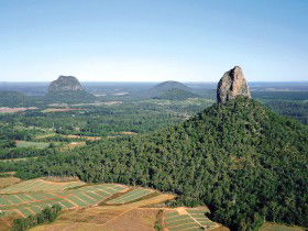 Mt Tibrogargan - Accommodation Gladstone 0