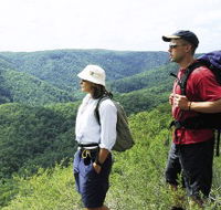 Sunshine Coast Hinterland Great Walk - Accommodation Gladstone