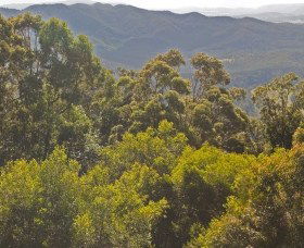 Conondale National Park - Accommodation Gladstone 0