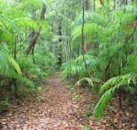Delicia Road Conservation Park - Accommodation Gladstone
