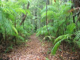 Delicia Road Conservation Park - Accommodation Gladstone 0