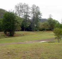 Brooyar State Forest - Accommodation Gladstone