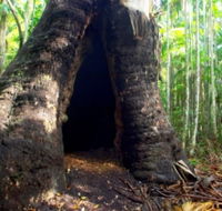 Tewantin National Park - Accommodation Gladstone