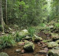 Amamoor State Forest - Accommodation Gladstone