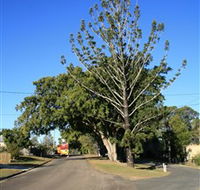 Anzac Avenue Memorial Trees Beerburrum - Accommodation Gladstone