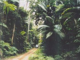 Conondale Great Walk - Accommodation Gladstone 0