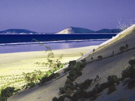 Cooloola, Great Sandy National Park - Accommodation Gladstone 0
