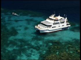 Fish Bowl Dive Site - Accommodation Gladstone 0