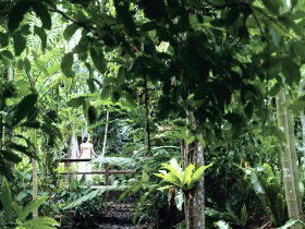 Flecker Botanic Gardens - Accommodation Gladstone 0