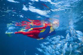 Great Detached Reef Dive Site - Accommodation Gladstone 0