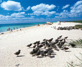 Michaelmas And Upolo Cays National Park - Accommodation Gladstone 0
