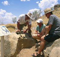 Riversleigh Fossil Fields - Accommodation Gladstone