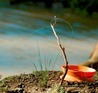 Charleville - Mangalore Warrego River Fishing Spot - Accommodation Gladstone