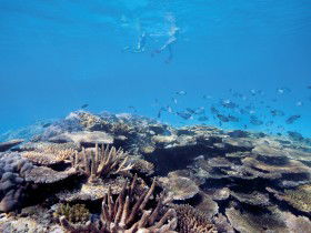 Australian Institute Of Marine Science - Accommodation Gladstone 0