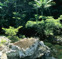 Conway State Forest - Accommodation Gladstone