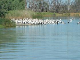 Lake Ross - Accommodation Gladstone 0