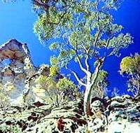 Mount Moffatt Section - Carnarvon National Park - Accommodation Gladstone