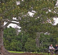 Ravensbourne National Park - Accommodation Gladstone