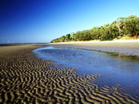 Kinkuna Section - Accommodation Gladstone 0