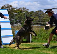 Lawdogs Australia - Accommodation Gladstone