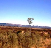 Tambos Wilderness Way - Accommodation Gladstone