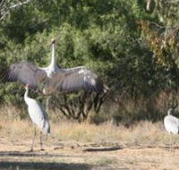 Bulloo River Walk - Accommodation Gladstone