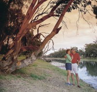 The Looking Glass - Accommodation Gladstone