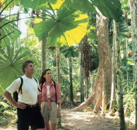 Licuala State Forest - Accommodation Gladstone