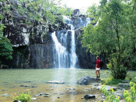 Conway National Park - Accommodation Gladstone 0