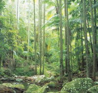 Python Rock - Accommodation Gladstone
