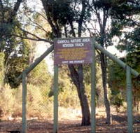 Carroll Nature Reserve Kokoda Track - Accommodation Gladstone