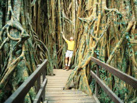 Yungaburra QLD Accommodation Gladstone