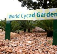 Anderson Park Botanic Gardens - Accommodation Gladstone