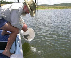 Eungella Dam - Accommodation Gladstone 0