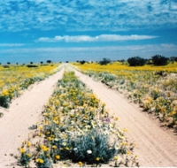 Birdsville Track - Accommodation Gladstone