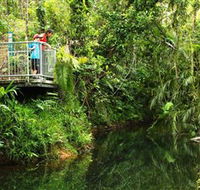 Djiru National Park - Accommodation Gladstone