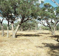 Forest Den National Park - Accommodation Gladstone