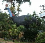 The Big Cassowary - Accommodation Gladstone