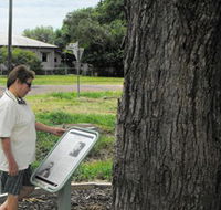 Augathella Kenniff Tree - Accommodation Gladstone
