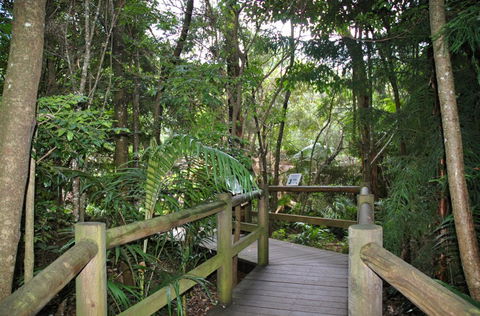 Cedar Creek Estate - Accommodation Gladstone 1