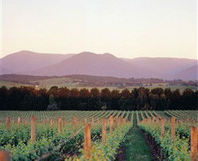 Domaine Chandon - Accommodation Gladstone 0