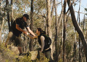 Greater Bendigo National Park - Accommodation Gladstone 0