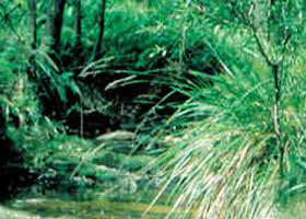 Fern Hill VIC Accommodation Gladstone