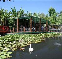 Blue Lotus Water Garden - Accommodation Gladstone